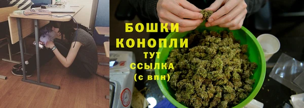 СК Аркадак