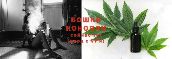СК Аркадак