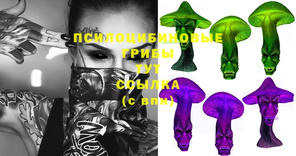 дживик Армянск